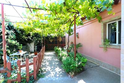 Palazu Mare - Strada Gheorghe Baritiu 16, casa cu teren de 680 mp! - 6