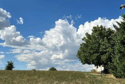 Spațiu comercial, în Balotești - 5