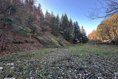 Teren de 2882 mp, în Dâmbovicioara - 16