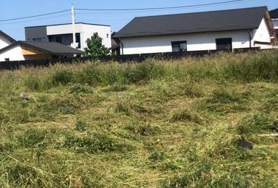 Vand teren intravilan pentru constructie casa - 9
