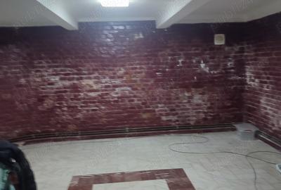 Maria Spatiu comercial demisol - 1