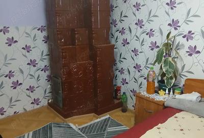 Casă cu 4 camere cu Teren 6000 Mp în Havârna - 6