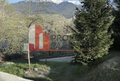 Teren Construcții intravilan de 1750 mp, în Bran - 15