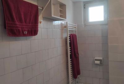 Apartament cu 2 camere decomandat în Dosu Bricii - 2