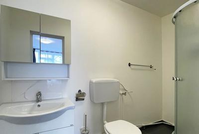 Apartament cu 2 camere, mobilat în Rahova - 2