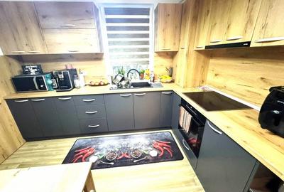 Vanzare vila familiala complet utilata Burdujeni - 9