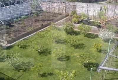 Casa Balcescu 850.000 euro - 3