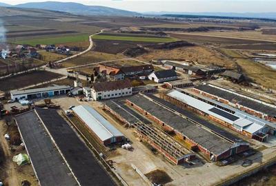 Spațiu comercial, de 9,000 mp, în Exterior Est - 22