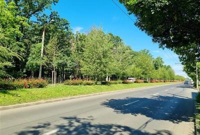 3 CAMERE+CURTE 68 MP SECTOR 1 BUCURESTII NOI-LIDL-METROU PARC BAZILESCU - 26