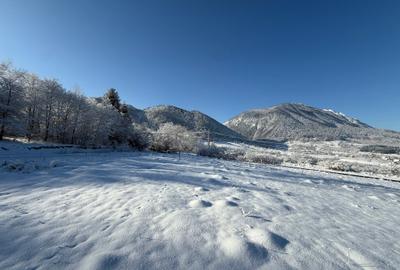 Teren intravilan 500 sau 1000 mp Bran-Tohanita la dum asfaltat - 24