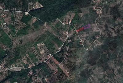 Casă cu 2 camere cu Teren 1295 Mp în Podgoria - 1