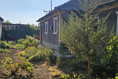 Casa la pretul de Teren /Palzu Mare - 5