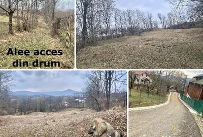 Teren de 3169 mp, în Talea - 2