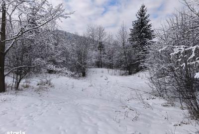 Teren de 22600 mp, în Sucevița - 6