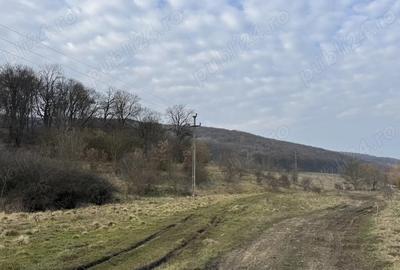 Teren de 600 mp, în Corunca - 3