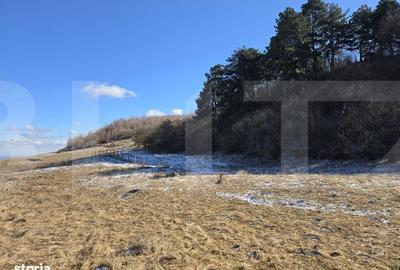 Spațiu comercial, în Central