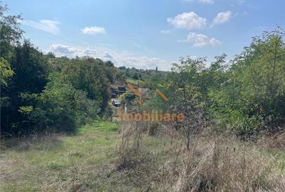 TEREN INTRAVILAN 2905 MP | DIOSIG - 1