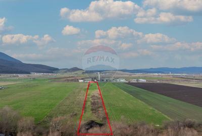 Teren intravilan de vanzare/ Codlea | 10.000mp/industrial - 5