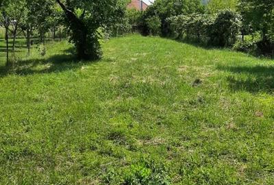 Casă cu 2 camere în Central - 1