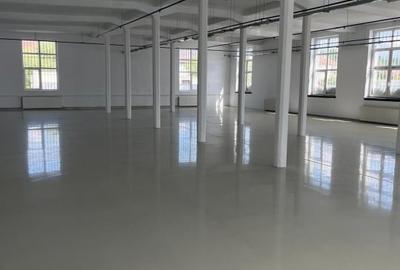 Spatii de inchiriat - Depozitare | Productie | Birouri Cisnadie - 2
