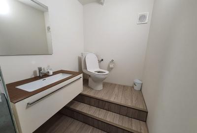 Vila in Burdujeni - 4