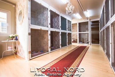 Exclusivitate-Ovidiu-Pet Hotel, 220 mp utili,teren intravilan 1.417mp,utilitati - 4