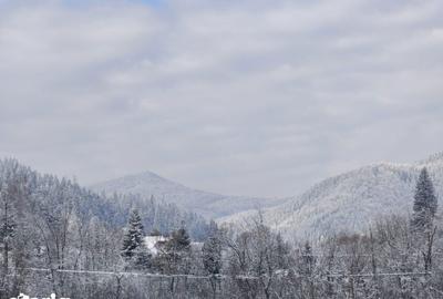 Teren de 22600 mp, în Sucevița - 14
