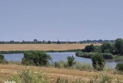 Spațiu comercial, în Săftica - 5