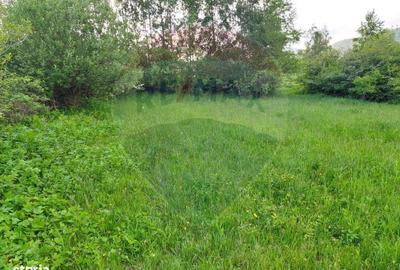 Spațiu comercial, în Predeluț - 14