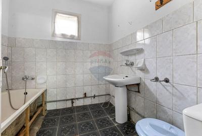 Casa spatioasa in Pancota ideala pentru doua familii - 11