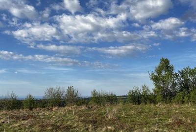 Spațiu comercial, în Dealu Mare - 5