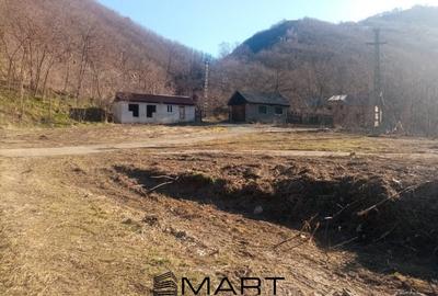 Teren extravilan 7432 mp, cu cabana de lemn Capalna AB - 10