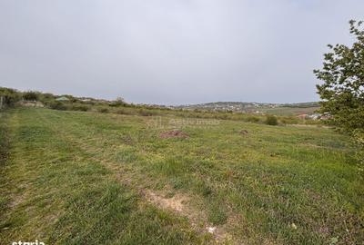 Teren de 793 mp, în Paleu - 2