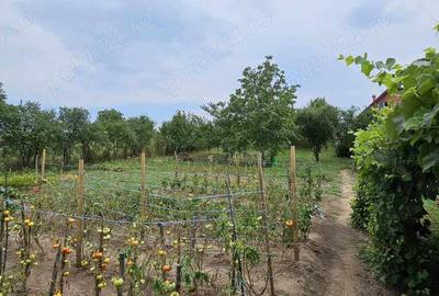 Casă cu 4 camere în Târnăveni - 2