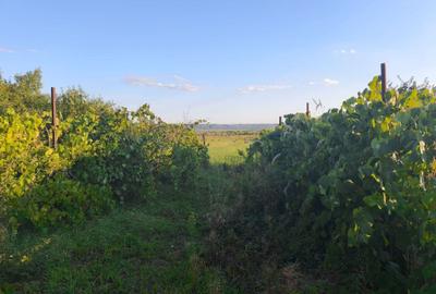 Casă cu 4 camere în Urvind - 6