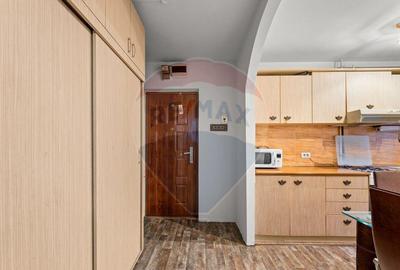 Apartament cu 3 camere de inchiriat - zona Boul Rosu - 3