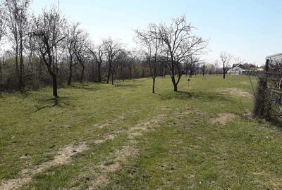 Teren de 1559 mp, în Cocoșești - 3