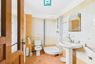 Vilă cu 5 camere pentru investiții în Dumbrăvița - 12