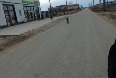 Spațiu comercial, în Central