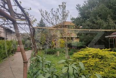 Casă cu Teren 1200 Mp în Valea Adâncă