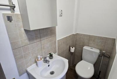 Casa individuala la curte Bucurestii Noi - 14