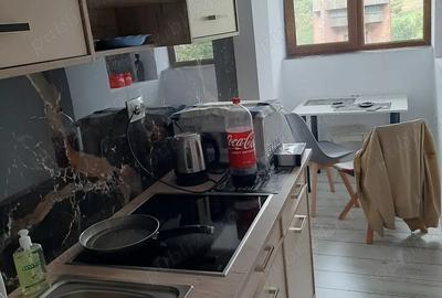 Garsonieră decomandată în Iacobeni - 3