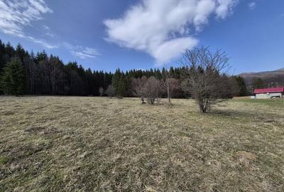 Teren intravilan la baza pădurii Valea Doftanei sat Traisteni (poduri) - 2