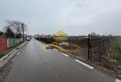 Teren de vanzare Filipesti Bacau 6838 mp - 13