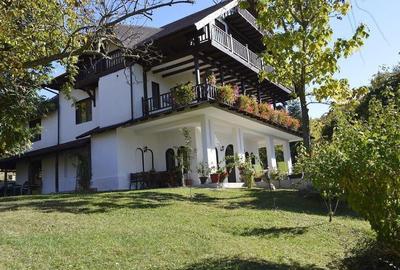 Topoloveni - Conacul Ion Mihalache, Domeniu pe 5 Hectare