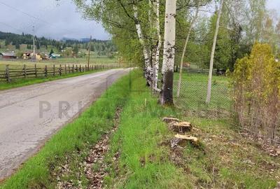 Teren Saru Dornei / Neagra Sarului - oportunitate investitie - 1