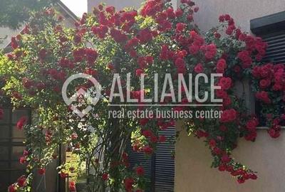 Casă individuală cu 4 camere cu Teren 300 Mp în Lazu - 8