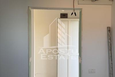 Casa individuala in Petrovaselo - 2