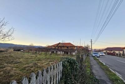 Teren intravilan 1555 mp - Arcani - 13 km de Tg. Jiu - 5