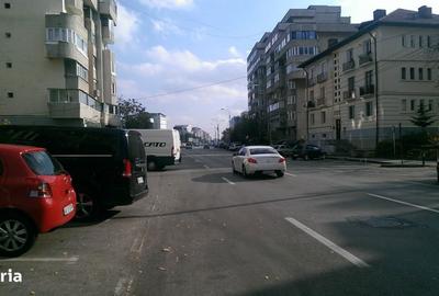 Spațiu comercial, de 23 mp, în Frații Golești - 6